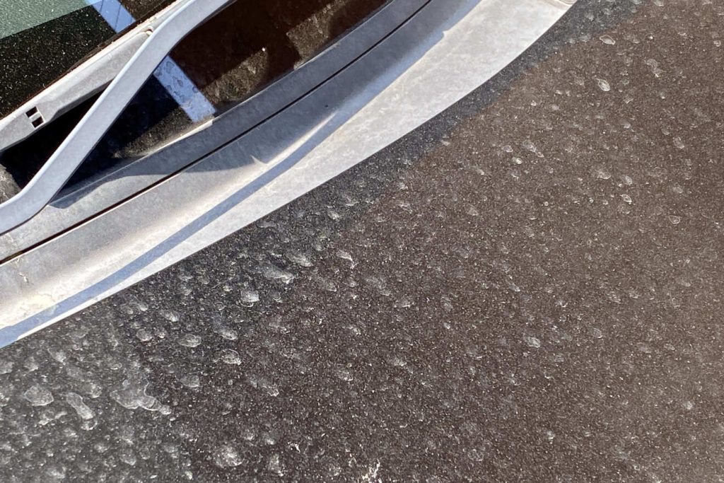 コンパウンドシャンプーの注意点